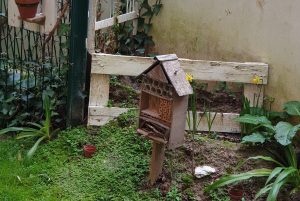 Read more about the article Build an insect hotel to pamper your insect friends